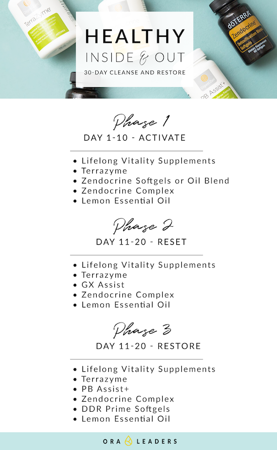 cleanse and restore phases
